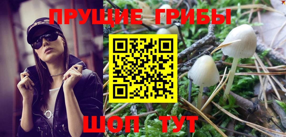 Галлюциногенные грибы Psilocybe Ростов-на-Дону